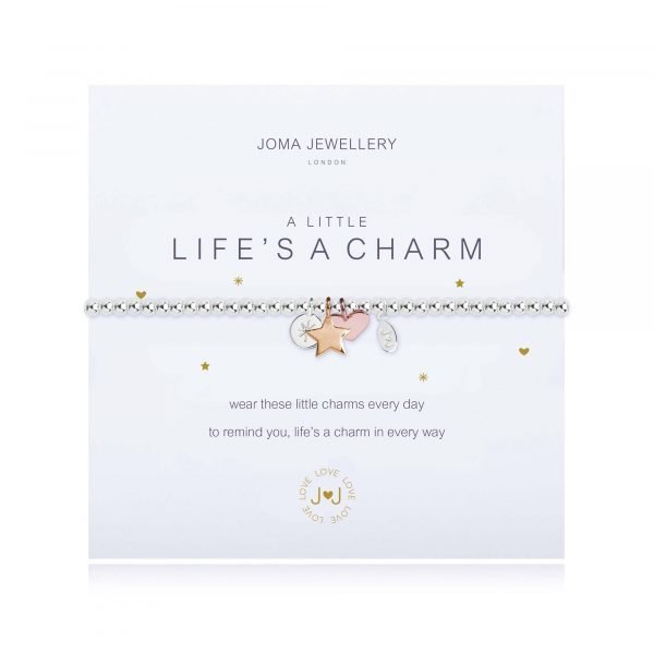 A Little Life's A Charm Bracelet