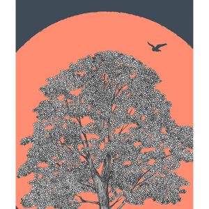 Alternative view of Sycamore Gap Print