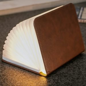 A leather smart boolight with magnetic opening and closing.
