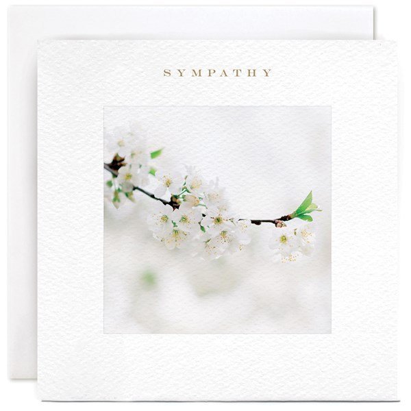 A white square card with a photographic image of a blossom branch with the wording With Sympathy printed above the image