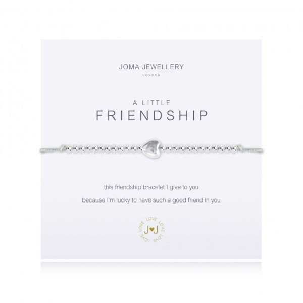 A silver plated bracelet on a cotton adjustable bracelet which is wrapped around a square card with the wording 'A Little Friendship' printed on it.