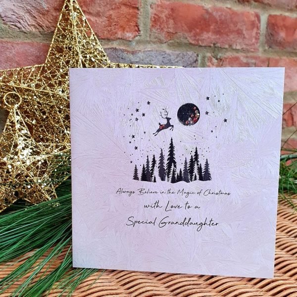 A beautiful Christmas card from Five Dollar Shake. Hand finished with sparkling crystals with a forest with a full moon over it and a leaping deer. Always believe in the magic of Christmas with love to a special Granddaughter