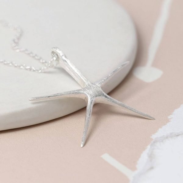 A silver starfish pendant necklace. With a contemporary brushed silver finish to the starfish and a fine quality silver chain.