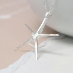 A silver starfish pendant necklace. With a contemporary brushed silver finish to the starfish and a fine quality silver chain.