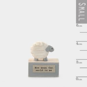 A cute little wooden keepsake of a sheep on a little platform with the words 'Ewe mean the world to me' printed on it.