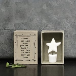 A sweet little ceramic keepsake which is in the shape of a star in a pot that is presented in a cardboard matchbox with the wording 'Friends are like stars, you don't have to see them to know they are there.'