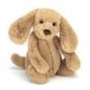 A sweet little toffee coloured cuddly puppy with a cuddly tummy, long ears and cute button nose.