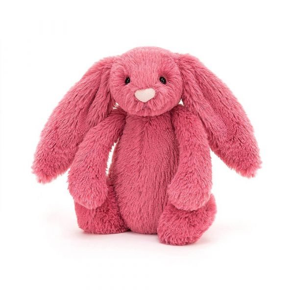 A cherry pink bunny soft toy