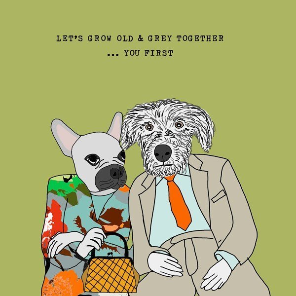 A quirky card by British card designer Sally Scaffardi which shows a couple of dogs dressed in clothers sat together with the wording 'Lets grow old and grey together... you first' printed on it.