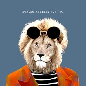 A quirky valentine's card from British Card Designer Sally Scaffardi with an image of a cool lion wearing sunglasses and clothes with the wording I have strong felines for you printed on it.