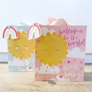 A new baby gift bag with a ribbon handle. With a big yellow sun design on either a pink or blue background with the words "Welcome to the world sweet baby"