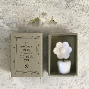A tiny little porcelain potted flower in a cute little matchbox printed with If mothers were flowers I'd pick you