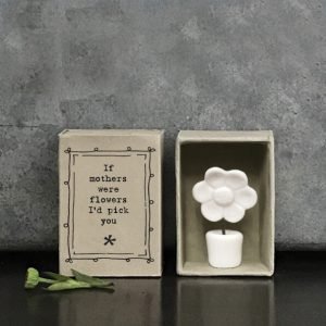 A tiny little porcelain potted flower in a cute little matchbox printed with If mothers were flowers I'd pick you