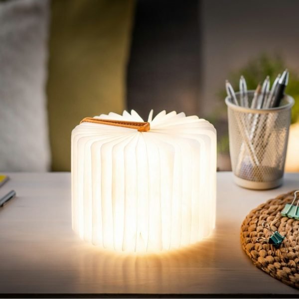 A light that looks like a book with a grey linen cover. Open the book and the paper pages light up. Charges with a USB charger. Portable and magnetic.