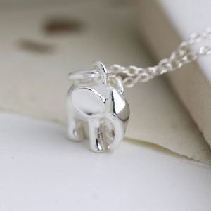 A sterling silver elephant necklace on a fine chain with a charm in the shape of an elephant.