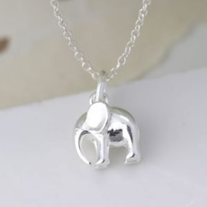 A sterling silver elephant necklace on a fine chain with a charm in the shape of an elephant.