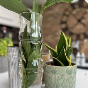 A beautiful glass vase that is shaped to look like bamboo from Gisela Graham