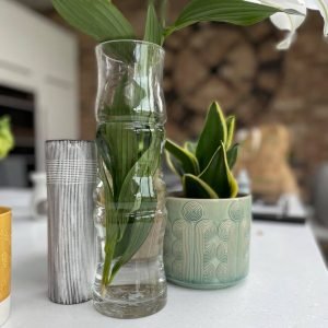 A beautiful glass vase that is shaped to look like bamboo from Gisela Graham