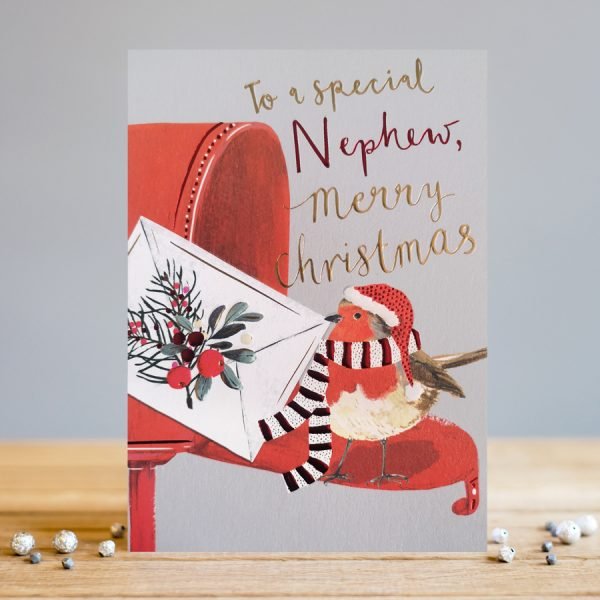 A lovely Christmas card with an image of an american style mailbox with a little robin wearing a hat and scarf and holding a christmas card. The words To a special nephew merry christmas are printed on it.