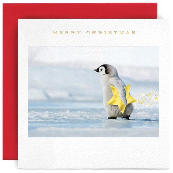 A Christmas card with a photograph of a cute penguin chick carrying a yellow star