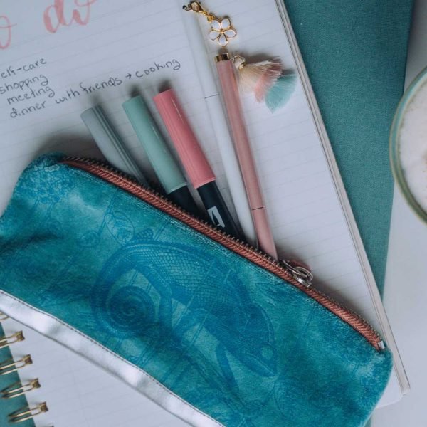 Teal velvet pouch with a chameleon design