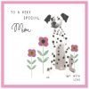 Special Mum Mother's Day Card. An illustration of a dalmation dog sitting in some flowers with the caption "To a very special Mum with love"