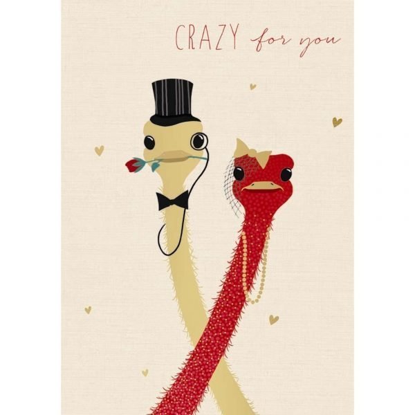 Crazy For You Ostriches Valentine's day card