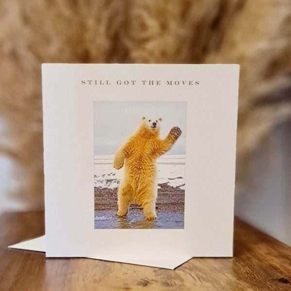 A square white card with a photograph of a polar bearon his hind legs holding up a front paw as if dancing. The caption reads"Still got the moves"