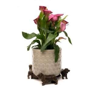 Alternative view of Dachschund Potty Feet