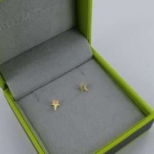 A gorgeous pair of sterling silver star stud earrings with a cubic zirconia stone in the centre of them.