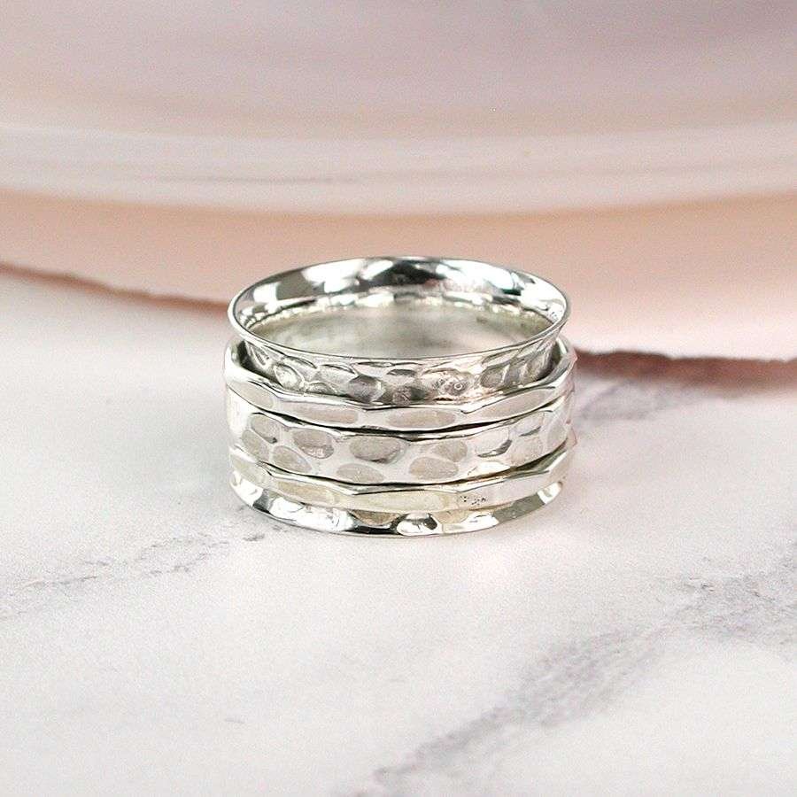 Silver with Silver Band Spinner Ring - Rooks & Roses