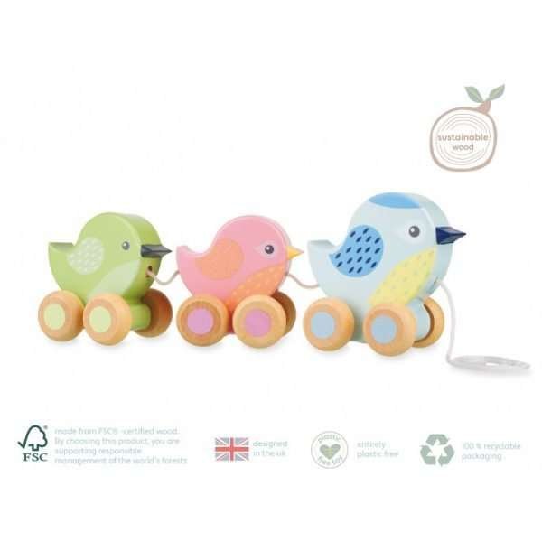 Birdies Pull Along Toy