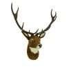 A stags head for the wall