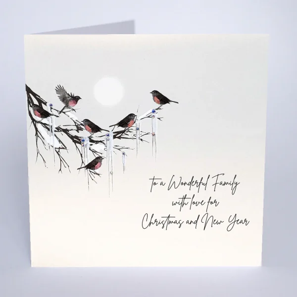 Wonderful Family Christmas Card