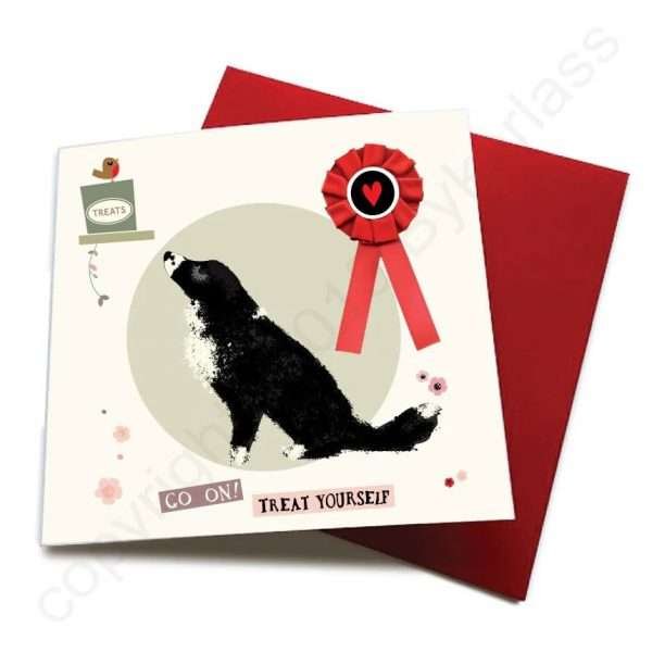 Border Collie Greetings Card