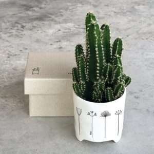 A lovely home planter with a gorgeous black and white imprinted design around it.