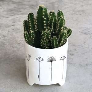 A lovely home planter with a gorgeous black and white imprinted design around it.