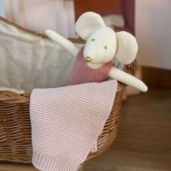 Celeste Mouse