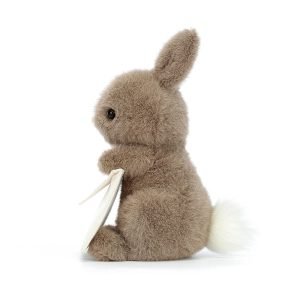 A brown fluffy bunny holding a cream envelope with a card inside. Soft toy from Jellycat