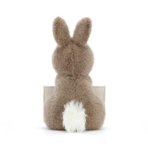 A brown fluffy bunny holding a cream envelope with a card inside. Soft toy from Jellycat