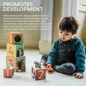 Alternative view of Woodland Stacking Cubes