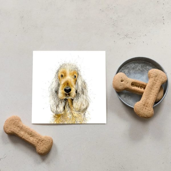 Sadie Spaniel Card