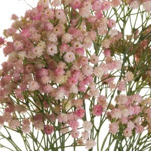 Alternative view of Faux Pink Baby's Breath Gypsophilia