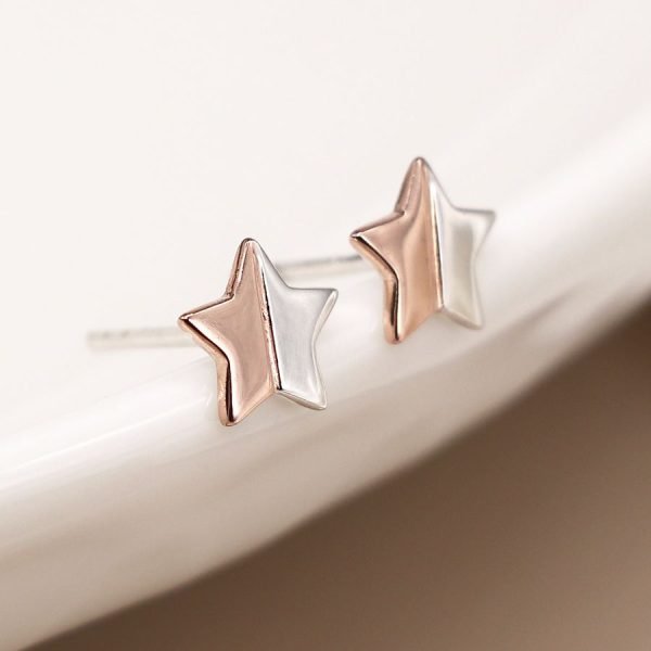 Silver Two Tone Star Earrings