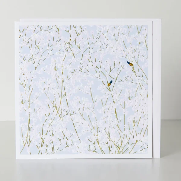 Gypsophilia Blank Greetings Card