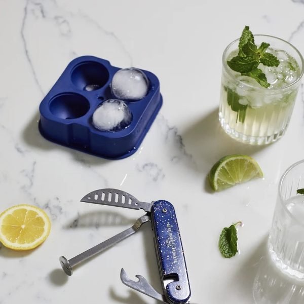 Ice Cube Tray