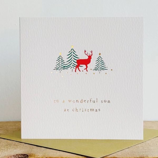 Wonderful Son Christmas Card