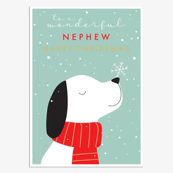 Wonderful Nephew Christmas Card