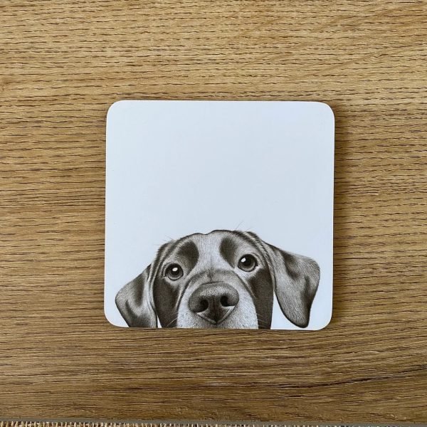 Pencil Drawn Animal Coaster