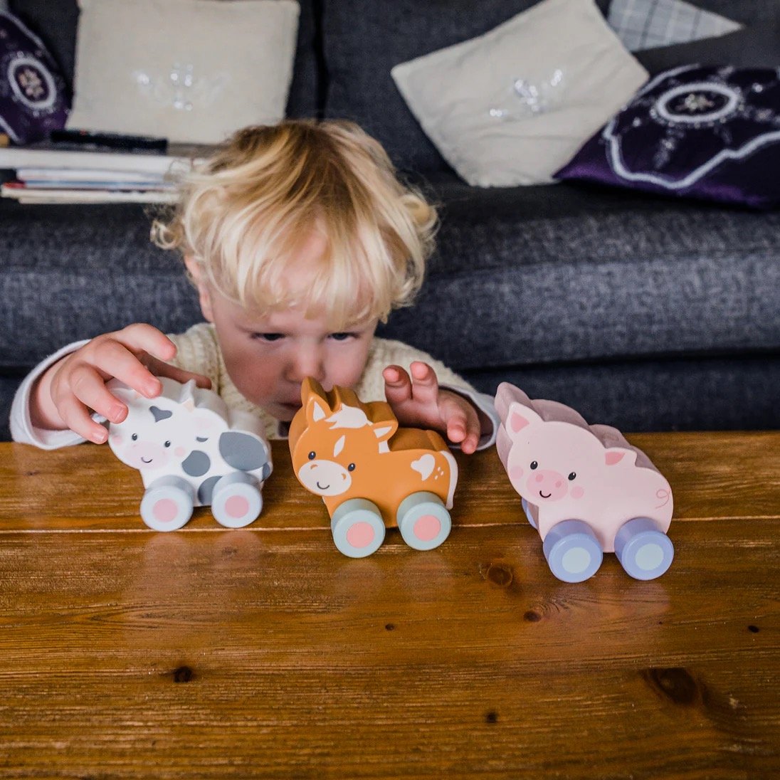 Pig First Push Toy - Image 3